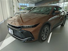 クラウン CO Gアドバ レザー