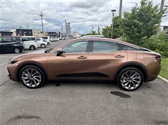 クラウン CO Gアドバ レザー