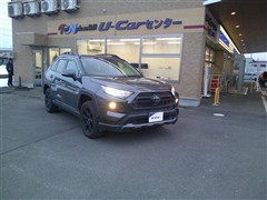 RAV4 アドベンチャー