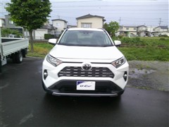 RAV4 G
