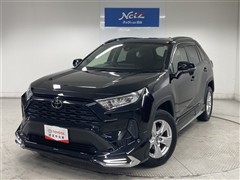 RAV4 X