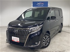 エスクァイアGIプレミPブラックテラ