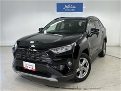 RAV4 G 4WD