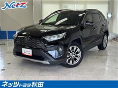 RAV4 G Zパッケージ