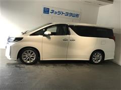 アルファード Sサイドリフトアップ