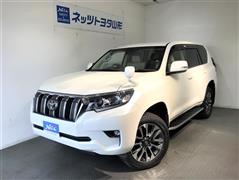トヨタ ランドクルーザープラド TZ-G