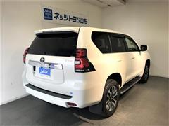 ランドクルーザープラド TZ-G