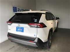 RAV4 G 4WD