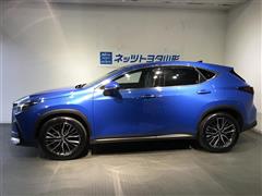 NX250 バージョンL 4WD