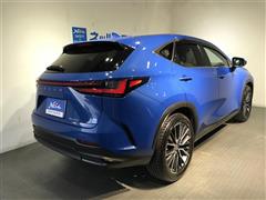 NX250 バージョンL 4WD