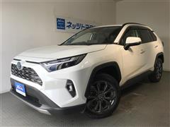 RAV4 ハイブリッドG 4WD