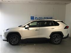 RAV4 ハイブリッドG 4WD