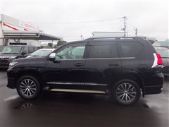 ランドクルーザープラド TZ-G