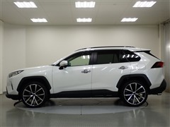 RAV4 X