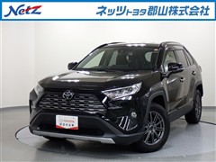 RAV4 G