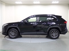 RAV4 G