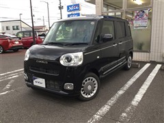 ムーヴキャンバス セオリー G