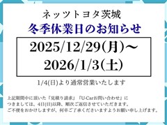 クロスオーバーRS アドバンスド