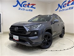 トヨタ RAV4 オフロードパッケージ
