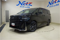 【茨城県】MILNE F3モデル　ミルン　5'4\" 1/2 カーボン使用　31L MINIMINI 3ドアの中古車（茨城県）を探すなら【グー