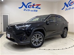 トヨタ RAV4 ハイブリッド G