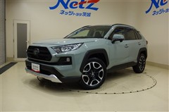 RAV4 アドベンチャー 4WD