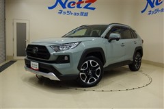 RAV4 アドベンチャー 4WD