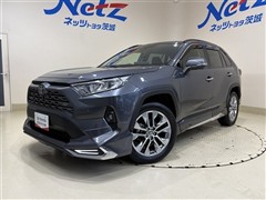 RAV4 G Zパッケージ