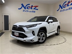 RAV4 ハイブリッド G