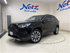 RAV4 G Zパッケージ