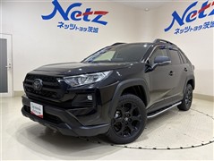 トヨタ RAV4 オフロードパッケージ2