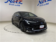 カローラツーリングハイブリットWxB