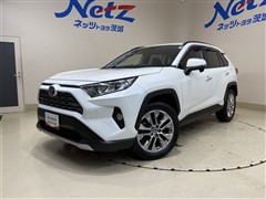 RAV4 G Zパッケージ