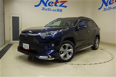 RAV4 ハイブリッド G 4WD