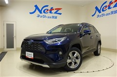 RAV4 ハイブリッド G 4WD