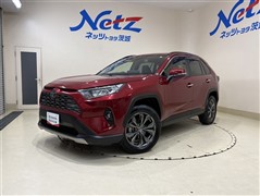 RAV4 G 4WD