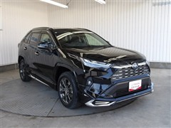 RAV4 ハイブリッドG