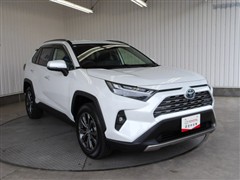 RAV4 ハイブリッドG