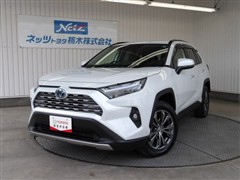 RAV4 ハイブリッドG