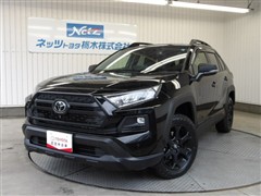 トヨタ RAV4 アドベ オフロード2