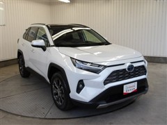 RAV4 ハイブリッドG