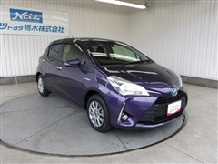 ヴィッツHV F セーフティED3