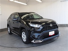 RAV4 X