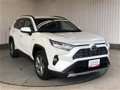 RAV4 ハイブリッドG