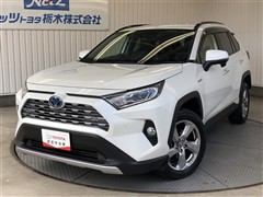 RAV4 ハイブリッドG