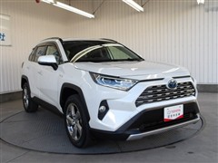RAV4 ハイブリッドG
