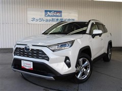 RAV4 ハイブリッドG