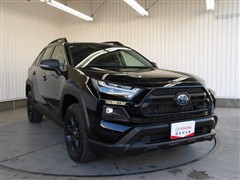 RAV4 HVアドベ オフロード2