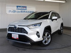 RAV4 ハイブリッドG