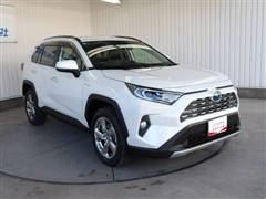 RAV4 ハイブリッドG